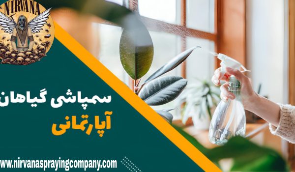 سم پاشی گیاهان آپارتمانی