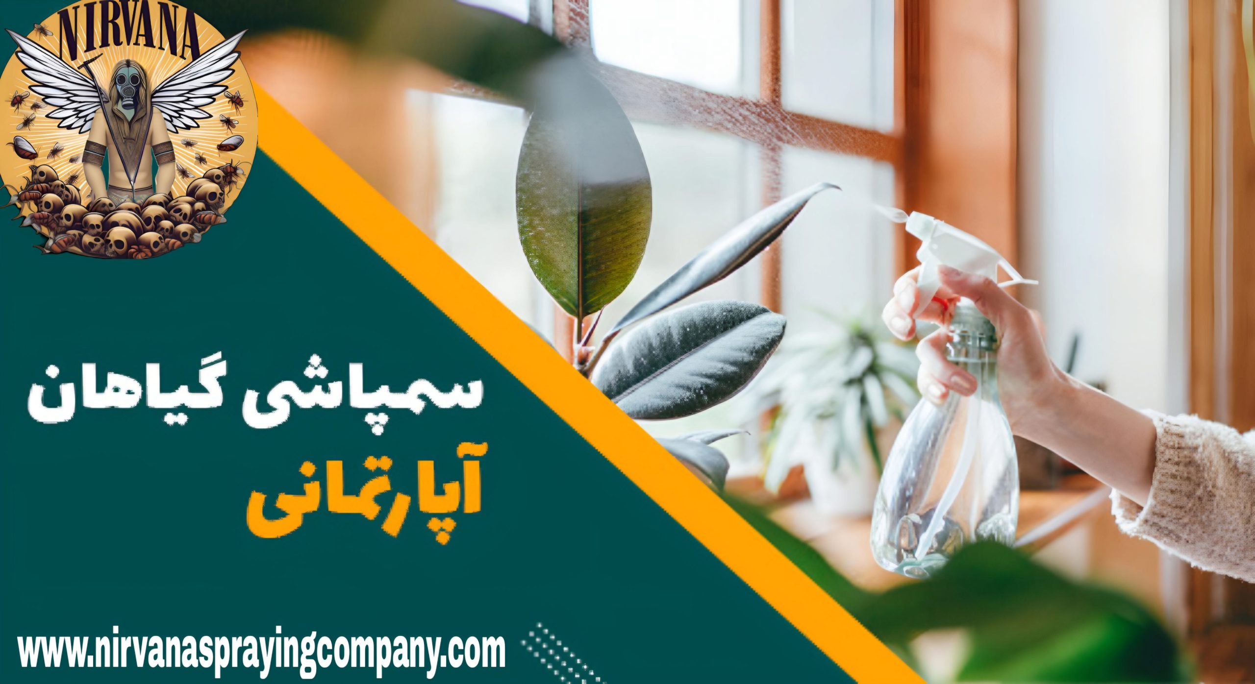 سم پاشی گیاهان آپارتمانی