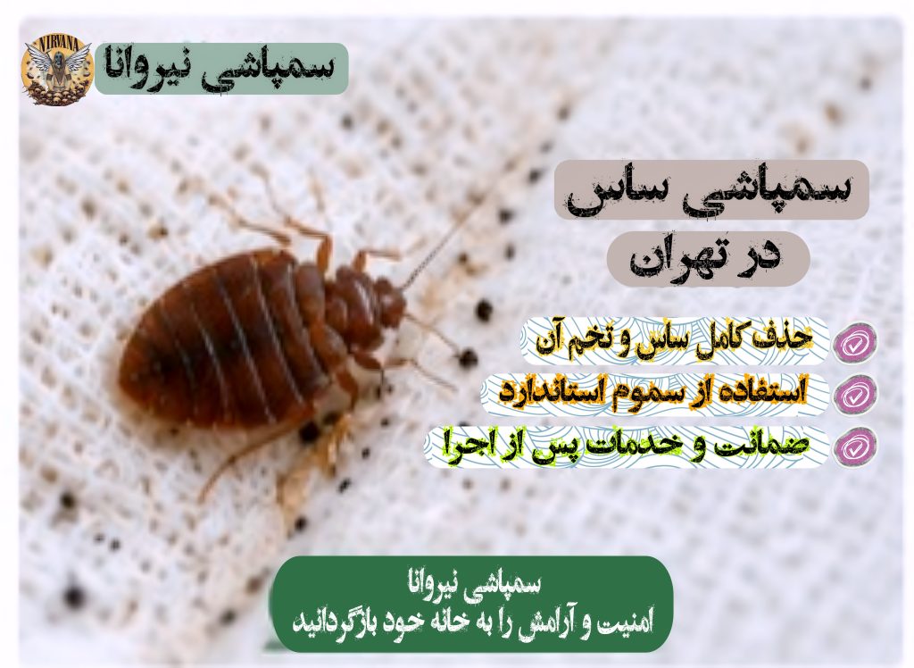 قیمت سمپاشی ساس در تهران